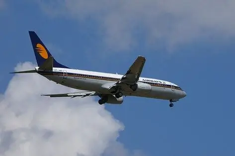 India Jet Airways ütleb Lemmikloomade Kassi Surma Pärast Kahju