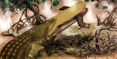 O Mais Antigo Crocodilo Conhecido Tinha Uma Cabeça Semelhante A Um Escudo, Diz Estudo