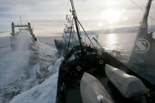 Jepang Membawa Pulang Armada Penangkapan Ikan Paus