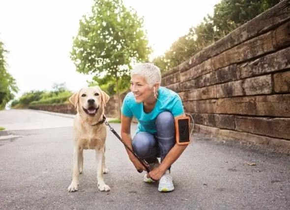 Yeni Çalışma, Köpek Sahiplerinin Daha Uzun Yaşadığını Ve Kalp Krizlerinden Kurtulma Olasılığının Daha Fazla Olduğunu Buluyor