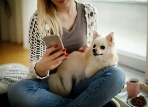 Je Smartphone Maakt Je Hond Depressief, Zegt Onderzoek