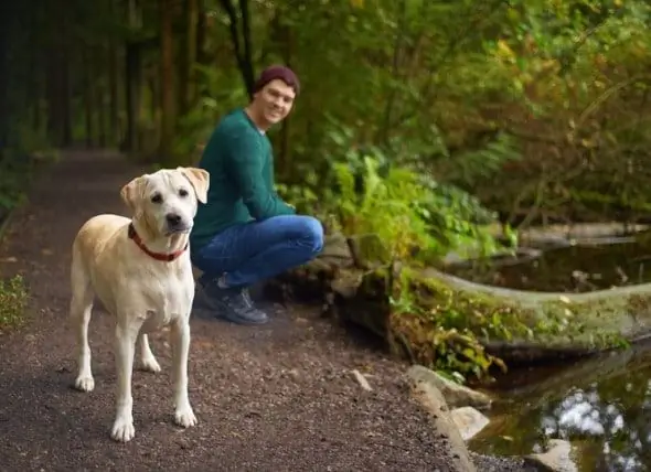 Har Din Hund Brug For En Lyme-vaccine?