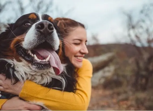 Marrja E Qëndrimeve Të Një Veterineri Ndaj Prindërve Të Kafshëve Shtëpiake Ndaj Shëndetit Të Kafshëve Shtëpiake