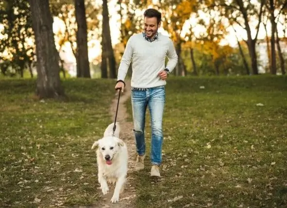 Lista De Verificación Del Dueño Responsable De La Mascota Para Cuidar De Una Mascota