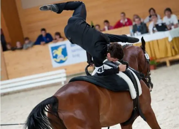 Hästar Och Gymnastik Förenas Vid FEI World Equestrian Games