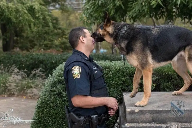 The Throw Away Dogs Project: Turning Abandoned Dogs Into K-9 Working Dogs