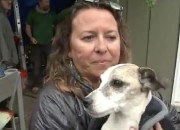 Jack Russell Terrier Rescatado Después De Estar Atrapado Debajo De La Casa Durante Más De 30 Horas