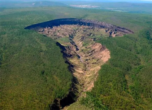 Forsker Fandt En Forhistorisk Hest I Sibirien, Der Er 40000 Gammel