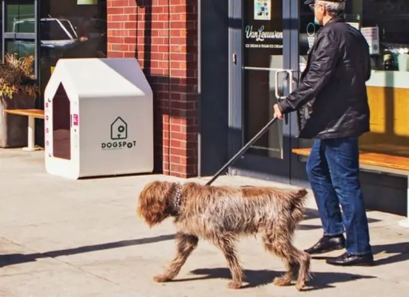 Startup Tilbyder Hundehuse Med Aircondition Uden For Steder, Der Ikke Tillader Hunde