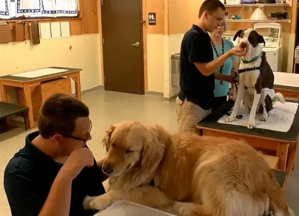 Élèves Ayant Des Besoins Spéciaux Jumelés à Des Chiens De Sauvetage En Formation Pour Devenir Des Animaux D'assistance