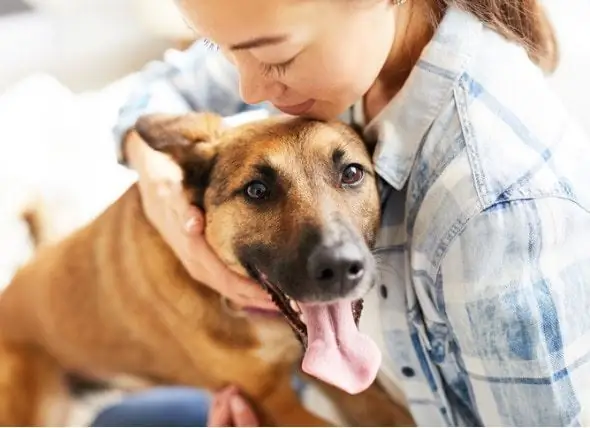 Mitos De Animais De Estimação: Anos Caninos A Anos Humanos