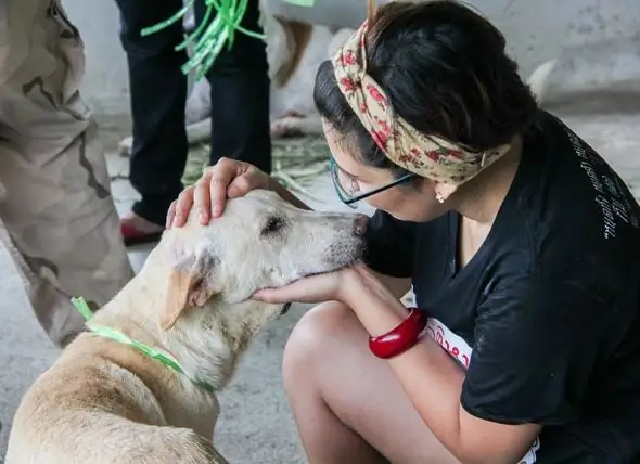 Petua Untuk Menyerahkan Pet