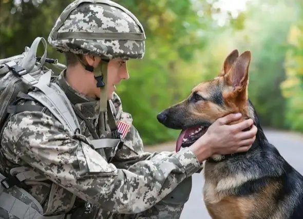 Vietnam Savaşı Gazileri Askeri Köpek Anıtı Açtı