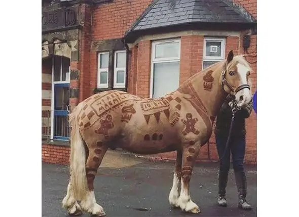 "Horse Barber" Mengubah Mantel Kuda Menjadi Karya Seni