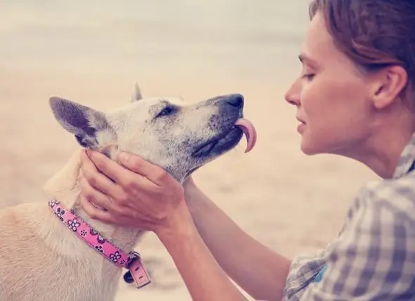 Warum Es Schwerer Sein Kann, Einen Hund Zu Verlieren, Als Einen Verwandten Zu Verlieren