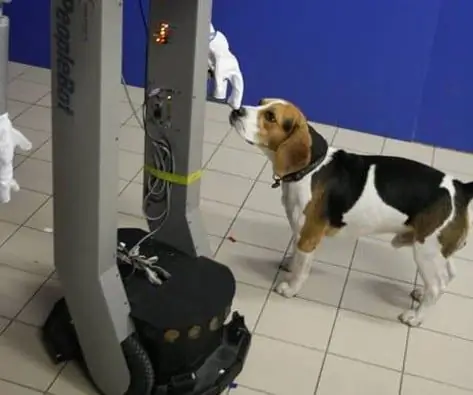 Les Robots Remplacent-ils Les Humains En Tant Que Meilleur Ami Du Chien ? Une Nouvelle étude Révèle Des Nouvelles Surprenantes