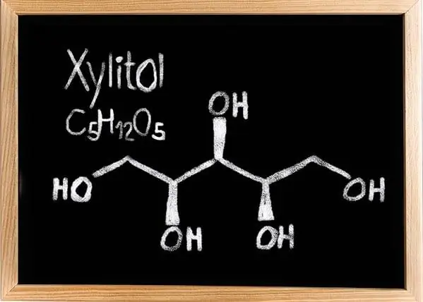 6 Makanan Yang Disembunyikan Xylitol IN