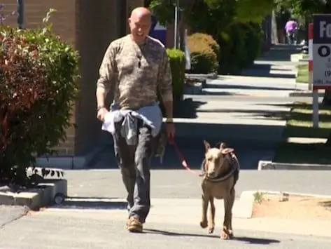 O Desejo De Morrer Do Veterano é Encontrar Um Lar Amoroso Para Seu Cão De Serviço