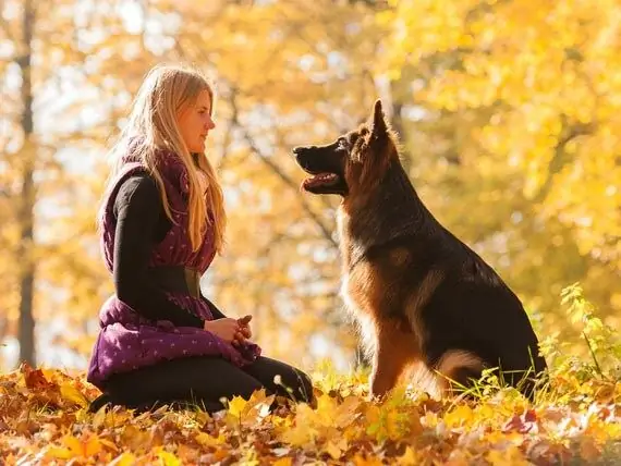 Kunnen Honden Kanker Bij Mensen Opsnuiven? - Hoe Kunnen Huisdieren Ons Vertellen Dat Ze Ziek Zijn?