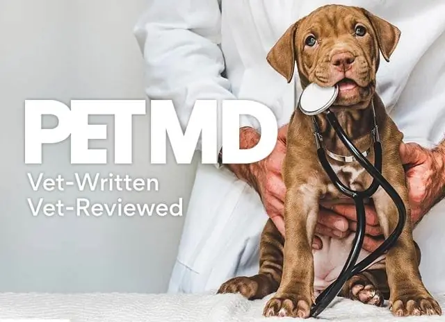 การสำรวจ PetMD เผยเจ้าของสัตว์เลี้ยงไม่เชื่อตำนานที่พักพิงสัตว์อีกต่อไป