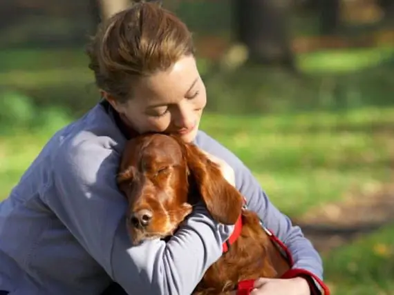 Hoeveel Invloed Heeft Het Gedrag Van Een Hond Op Hoeveel Er Van Wordt Gehouden?