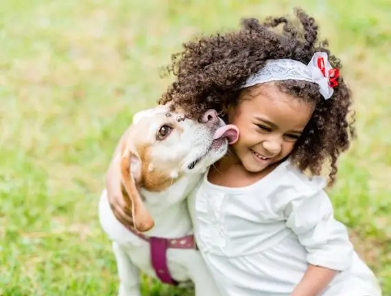 Saliva Degli Animali Domestici: Rischio Per La Salute O Beneficio Per La Salute?