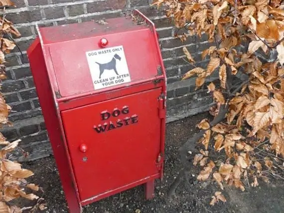 Zoönotische Ziekten En Het Belang Van Het Opruimen Van Hondenpoep