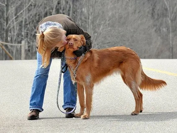 Doenças Zoonóticas De Animais De Estimação - Doenças Disseminadas Por Animais