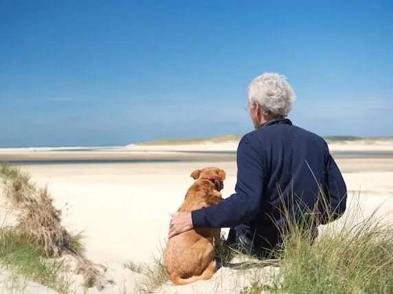 Plus De Maladie Et De Douleur Suivent Une Vie Plus Longue Pour Les Animaux De Compagnie - Gestion De La Maladie Et De La Douleur Chez Les Animaux De Compagnie Plus âgés