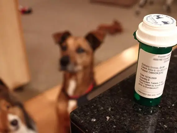 Dicas Para Comprar Medicamentos Para Animais De Estimação Online - Comprando Prescrições Para Animais De Estimação Online