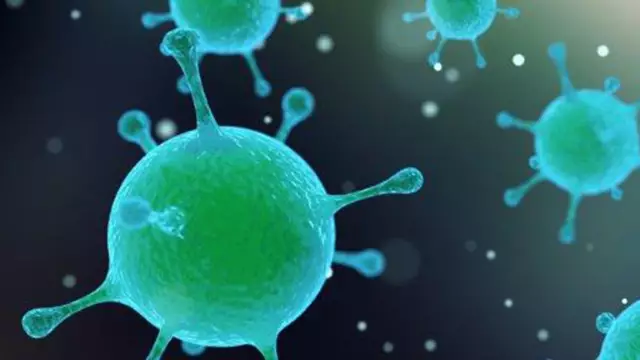 MRSA-infecties Bij Huisdieren - Hoe Raken Huisdieren Besmet Met MRSA?