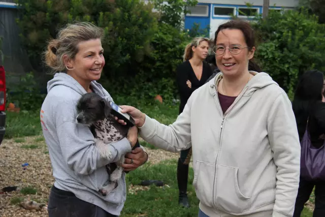 Köpeğinizin Kaka Yemesini Durdurmak İçin Bir Başka İyi Neden