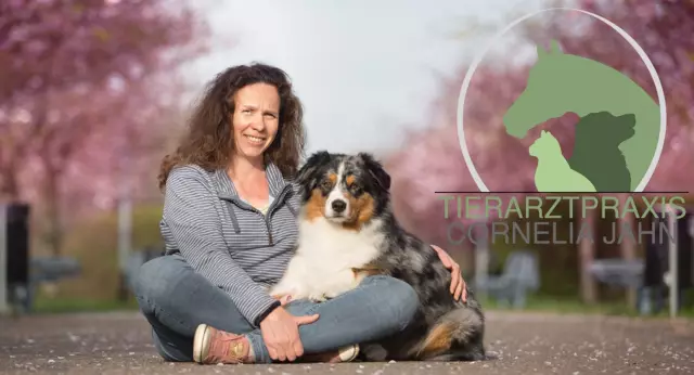 Terapeutisk Hundemat: Fôrer Du Den Syke Hunden Din Med Riktig Mat