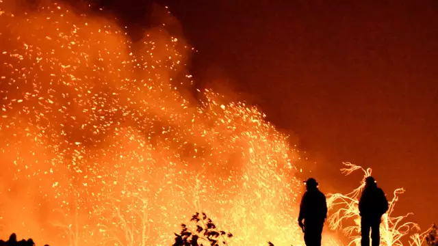 Les Feux De Forêt En Californie Affectent Les Yeux Et Le Système Respiratoire Des Animaux De Compagnie