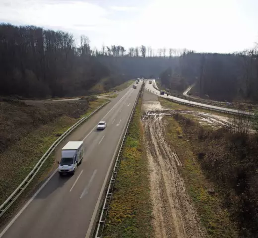 Fortschritte Bei Der Tierärztlichen Krebsbehandlung Durch Studie