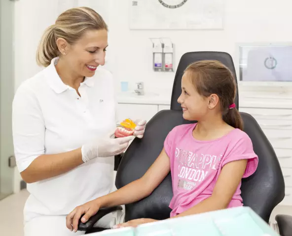 Il Tuo Cane Ha Bisogno Di Un Dentista? Febbraio è Il Mese Della Salute Dentale?