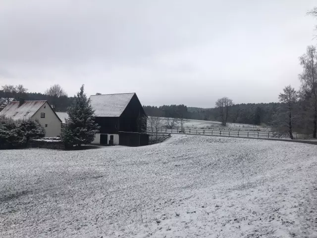 Cik Daudz Vingrinājumu Ir Par Daudz Manam Kucēnam?