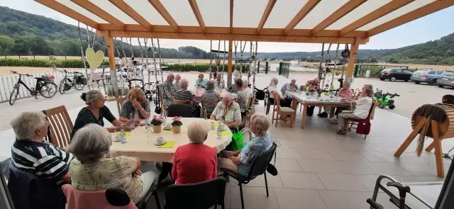 Wie Sie Ihre Schwangerschaft Managen UND Gut Mit Haustieren Leben (Teil 1)